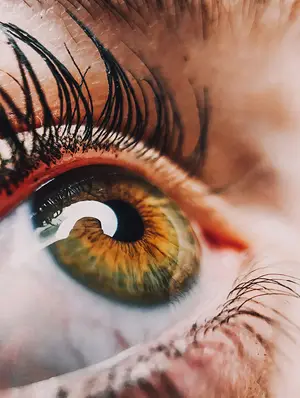 Close up of a human eye with brown and green iris