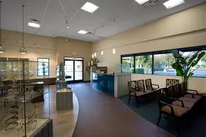 An empty waiting area of an establishment with chairs, a glass display case, a blue counter, glass windows, and a potted plant on the right side.