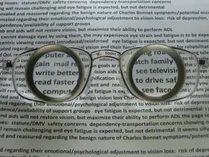 Image of reading glasses with words written on the lenses focusing on various aspects of vision loss and its impact, including emotional adjustment and safety concerns.