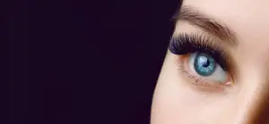 adobestock 266139694