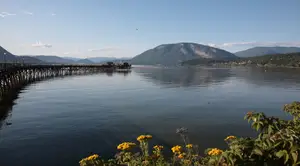A view of a serene lake with a wooden pier, mountains, and yellow flowers in the foreground.