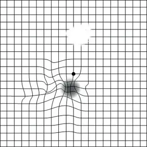 A visual representation of eye tracking data, showing gaze patterns on a grid with a central fixation point.