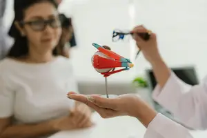 An optometrist demonstrates an eye model to a patient in a medical office.
