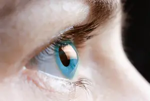 Close up of a woman's eye with blue iris and brown eyelashes