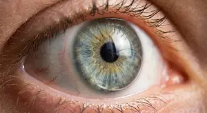 close up of a human eye with gray iris and red veins