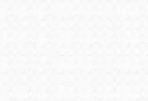 A close-up of a white leaf pattern on a white background, with a slightly blurry effect and small, slightly darker spots. The image has a grainy texture.