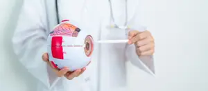 A doctor wearing a white coat and stethoscope is holding a model of an eye with a red and white color and using a white stick to point at it.