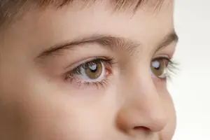 A close up view of a child's face with brown eyes and eyelashes.