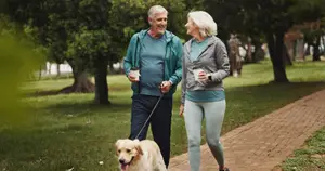 An elderly couple is walking their dog in a park on a sunny day