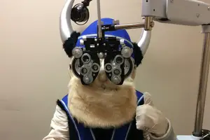 A person in a blue and white costume with a horned mask is sitting in an eye exam chair.