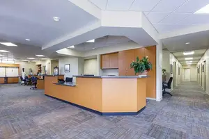 An empty reception area with a large wooden counter, a potted plant, and wooden cabinets on the side, illuminated by ceiling lights.