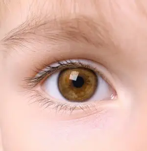 Close up of a child's eye with brown iris and white sclera