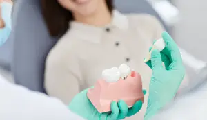 A dentist wearing green gloves holds a dental model and explains to a patient.