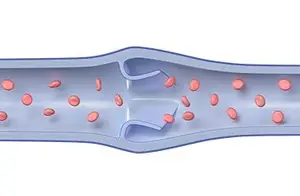Illustration of blood flow in a vein with red blood cells moving inside a blue vein.