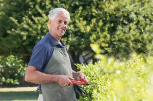 An older man is holding a pair of scissors and seems to be trimming the plants in the garden.