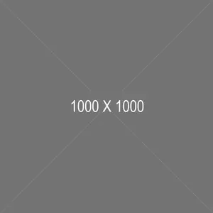 1000 x 1000