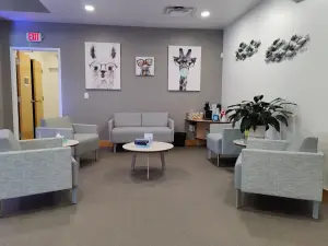 A room with a gray couch and several chairs and tables with a table in the middle and a plant on the right side of the room