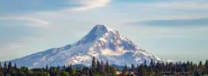 A snowy mountain with a few trees on the side and a blue sky with clouds