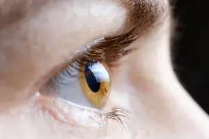 Close up of a human eye with brown and yellow iris and eyelashes
