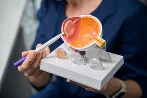 A person is holding a magnifying glass and a pen while demonstrating an anatomical model of an eye