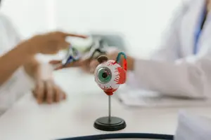 A doctor examining an eyeball model on a desk