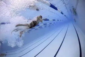 A person swimming in the swimming pool with blue and white lane markers
