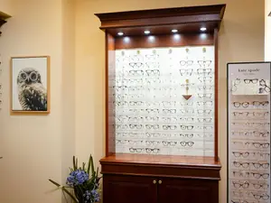 Inside an optical shop, a cabinet with lights showcases a variety of glasses, and a framed picture of an owl is on the wall, with a vase of blue flowers nearby.