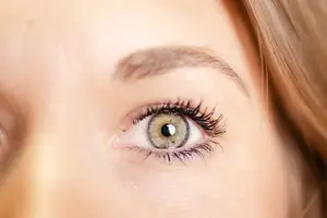 Close up of a woman's eye with brown lashes and eyebrows.