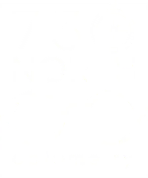 white background with black text reading'none'