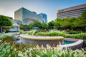 A fountain with a water flow surrounded by plants and flowers is in the middle of a park with tall buildings in the background.
