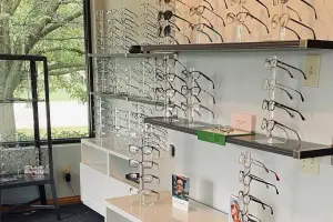 Eyeglasses on display on a rack in a room with a view of a tree outside the window.
