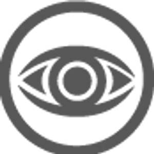 Gray eye logo with a circle around it