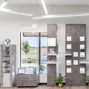 A gray-walled indoor area with shelves displaying eyeglasses, a cabinet with items, a potted plant, and a glass window showing an outdoor view of a tree and a car.