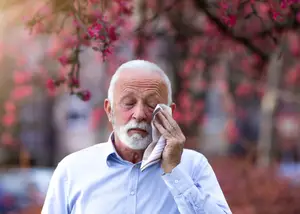 An elderly man in a white shirt holding a tissue to his nose in a park with pink flowers in the background
